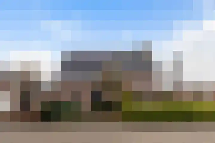 Ribes 9 Aldwâld thumbnail 7