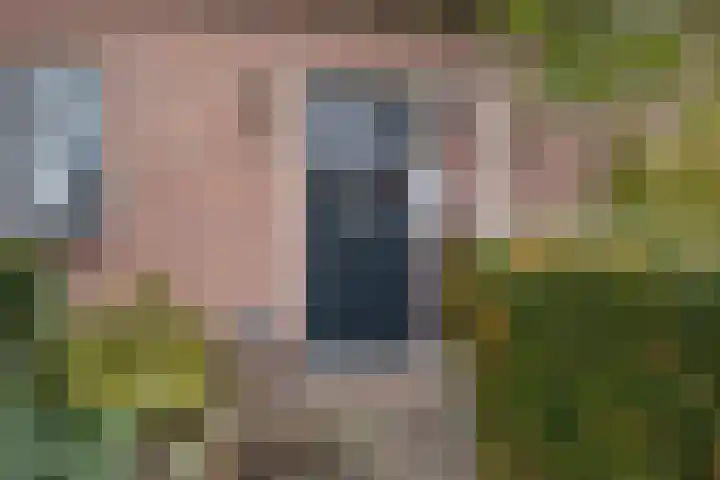 Ribes 9 Aldwâld thumbnail 8