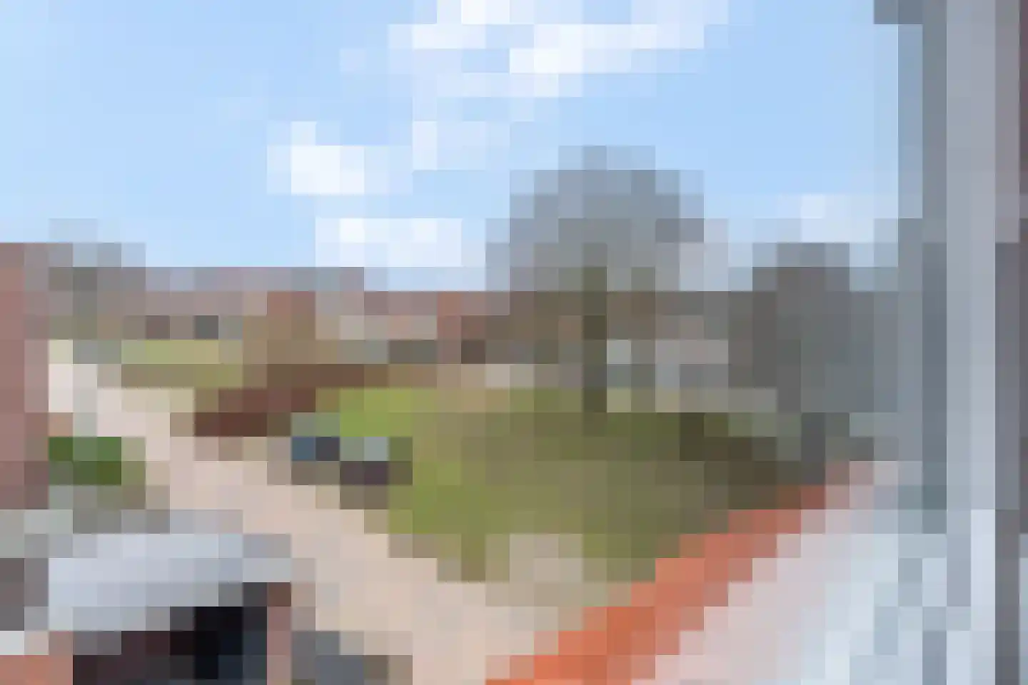 Ribeslaan 11 Rhenen thumbnail 35