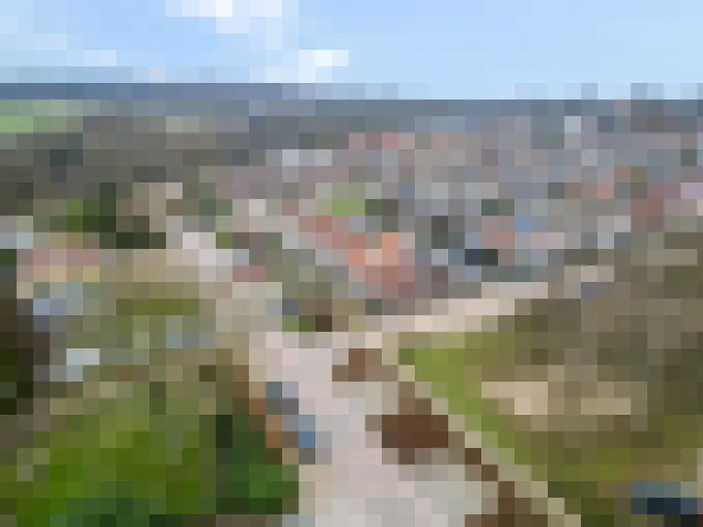 Ribeslaan 11 Rhenen thumbnail 36