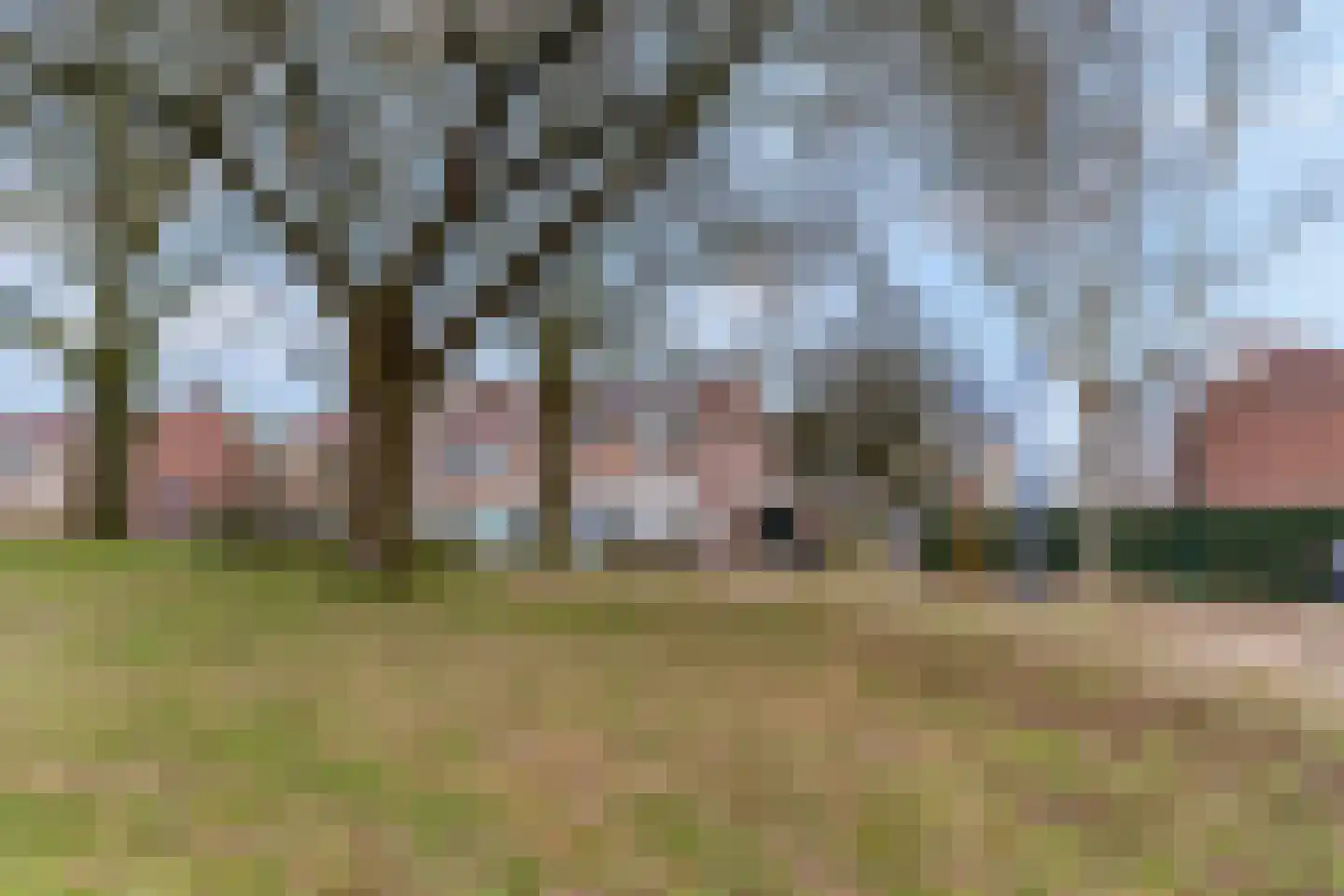 Ribeslaan 11 Rhenen thumbnail 38