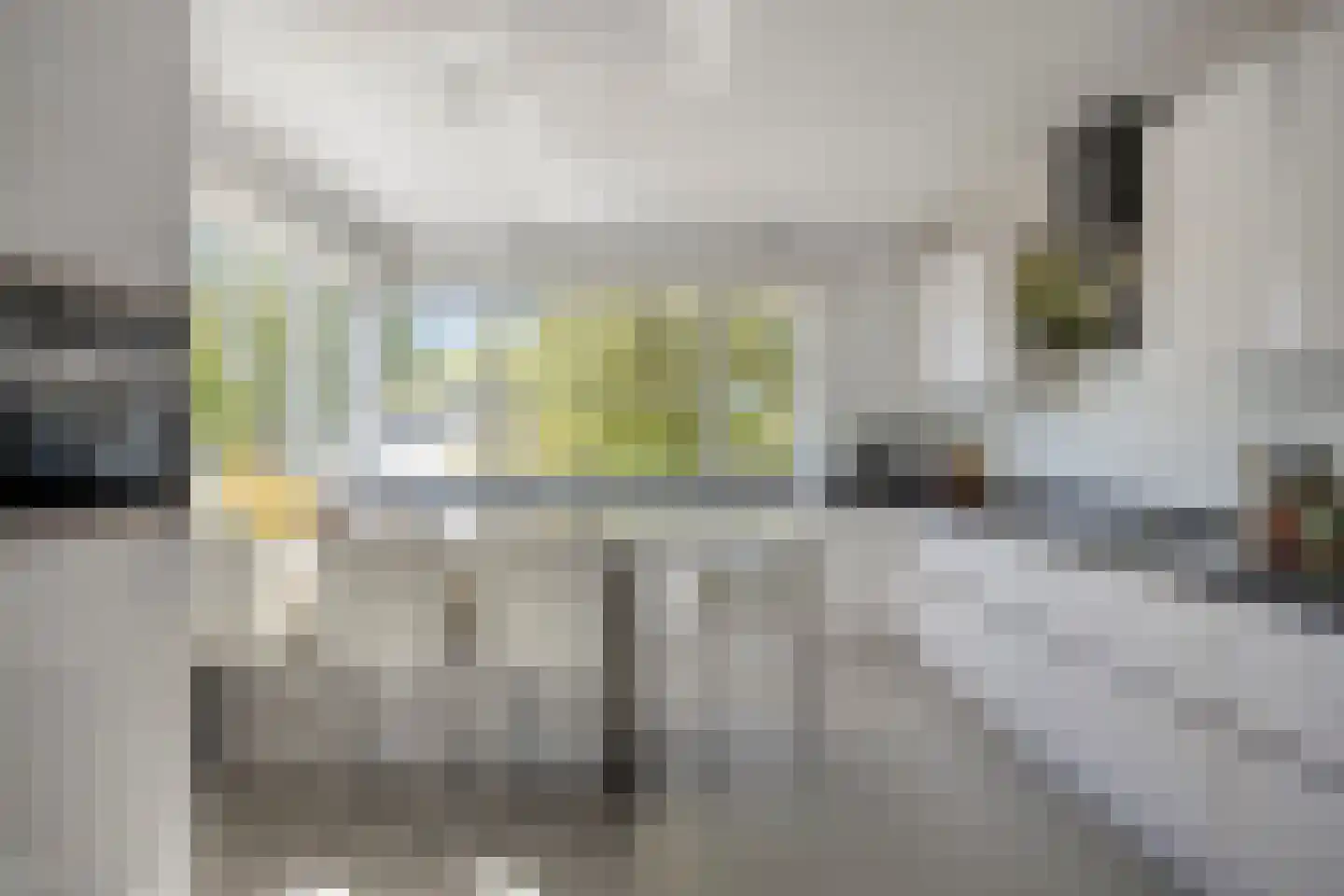 Ribeslaan 12 Rhenen thumbnail 19