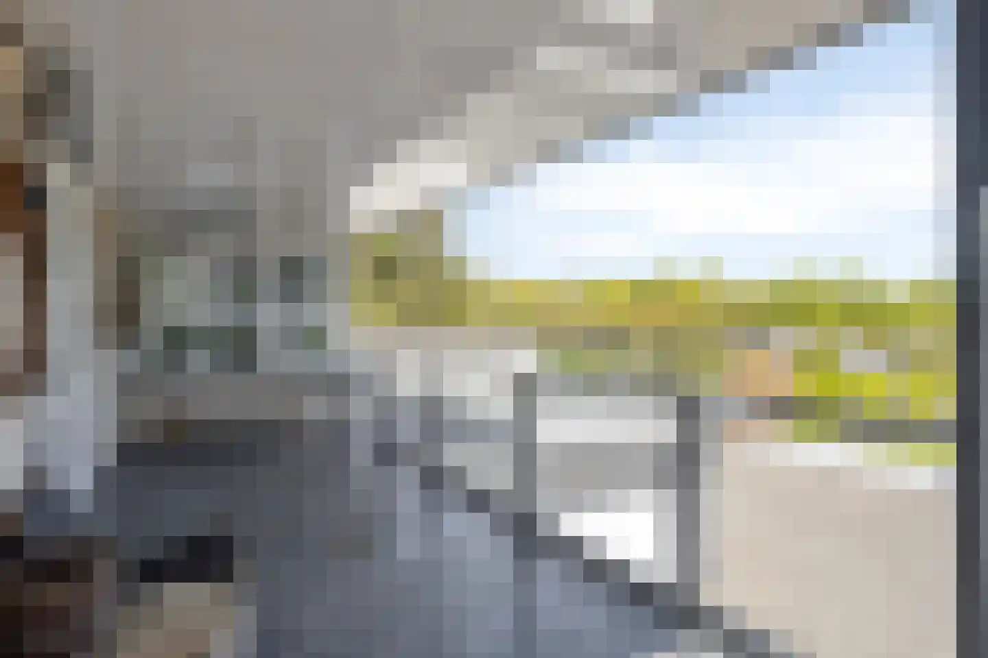 Ribeslaan 12 Rhenen thumbnail 34
