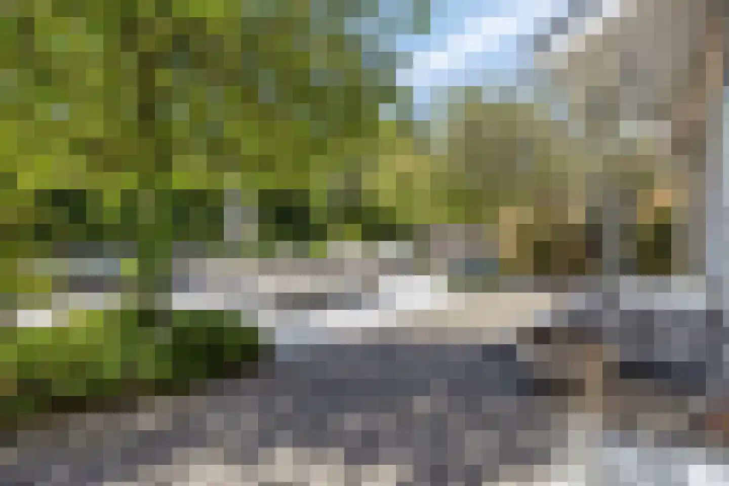 Ribeslaan 12 Rhenen thumbnail 5