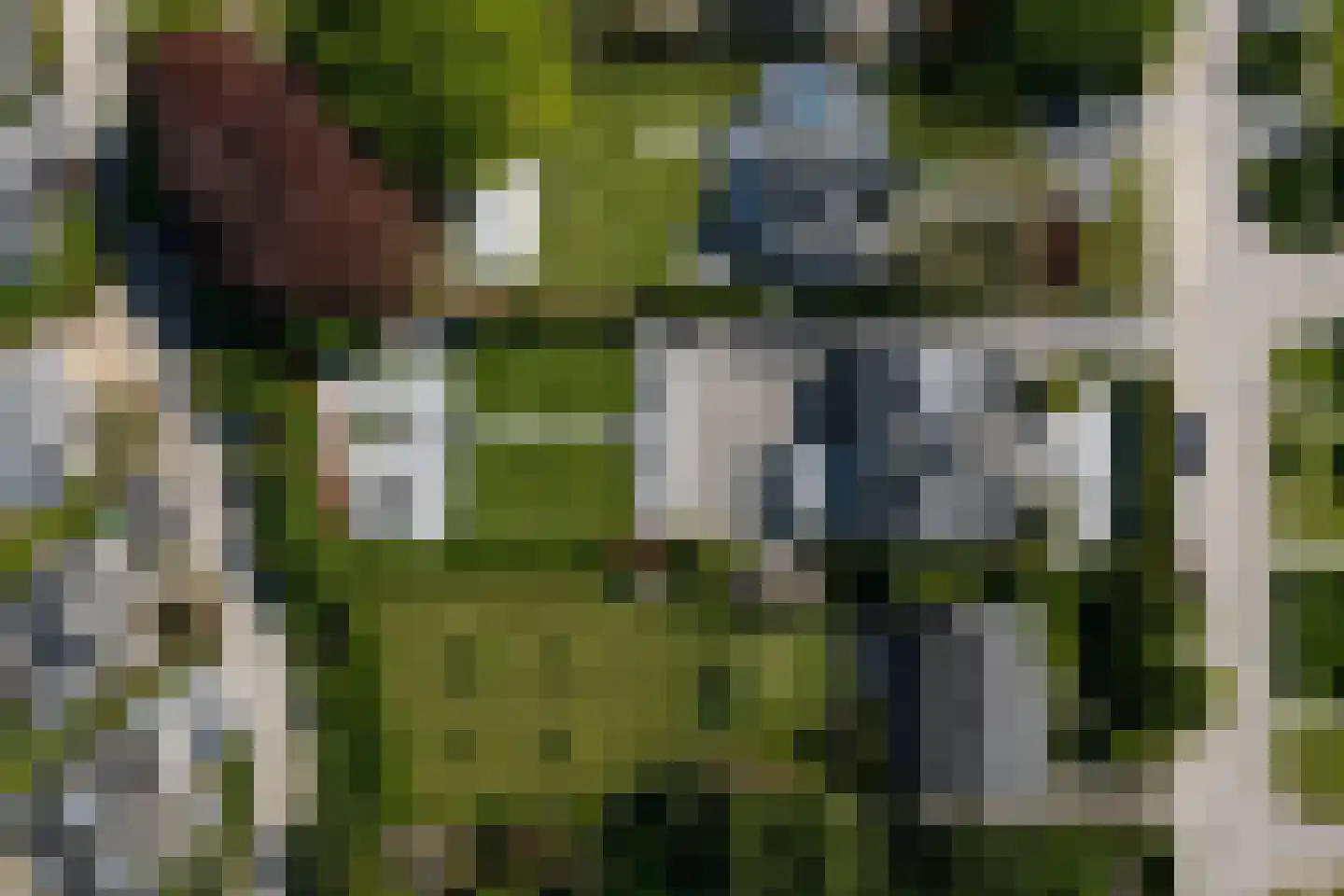 Ribeslaan 12 Rhenen thumbnail 6
