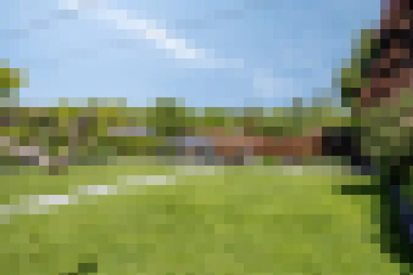 Ribeslaan 12 Rhenen thumbnail 69