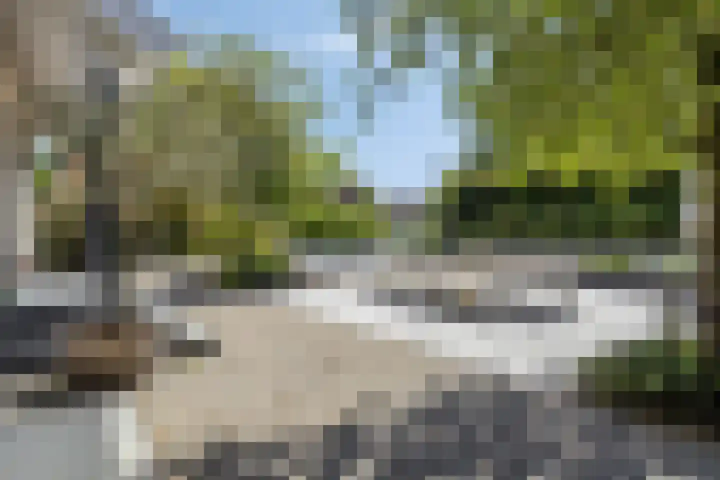 Ribeslaan 12 Rhenen thumbnail 73