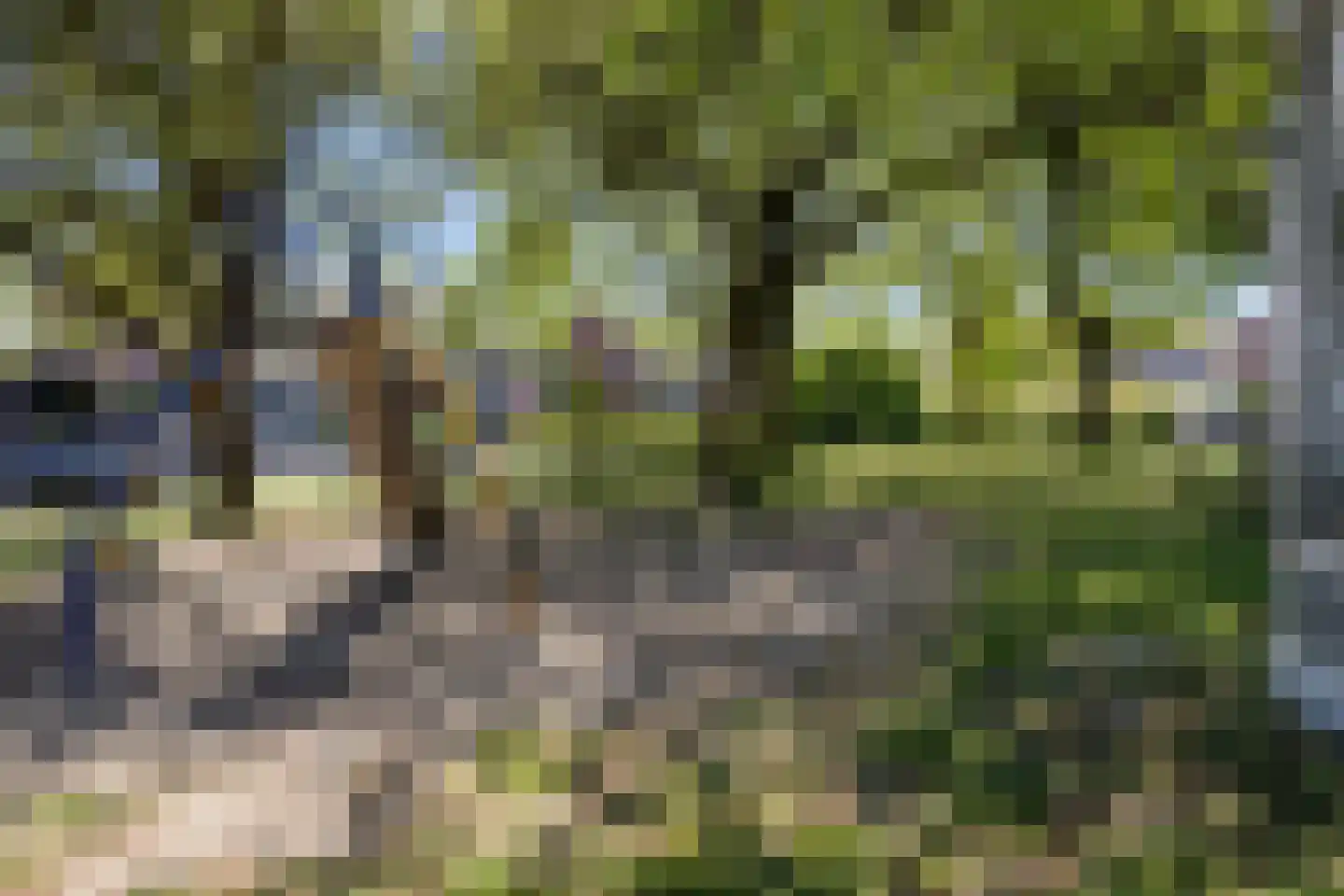 Ribeslaan 12 Rhenen thumbnail 75