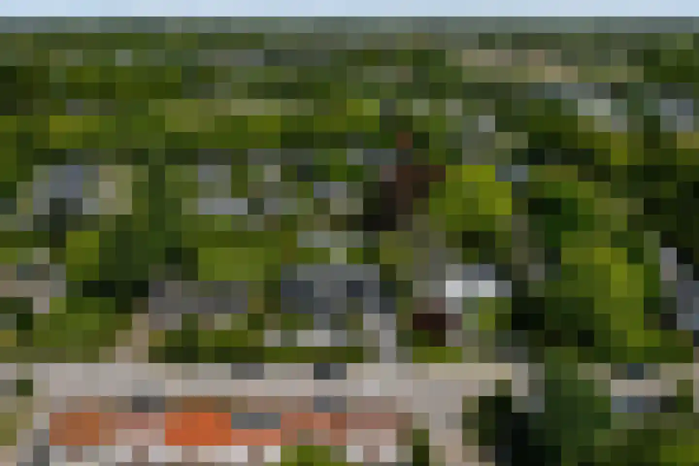 Ribeslaan 12 Rhenen thumbnail 76
