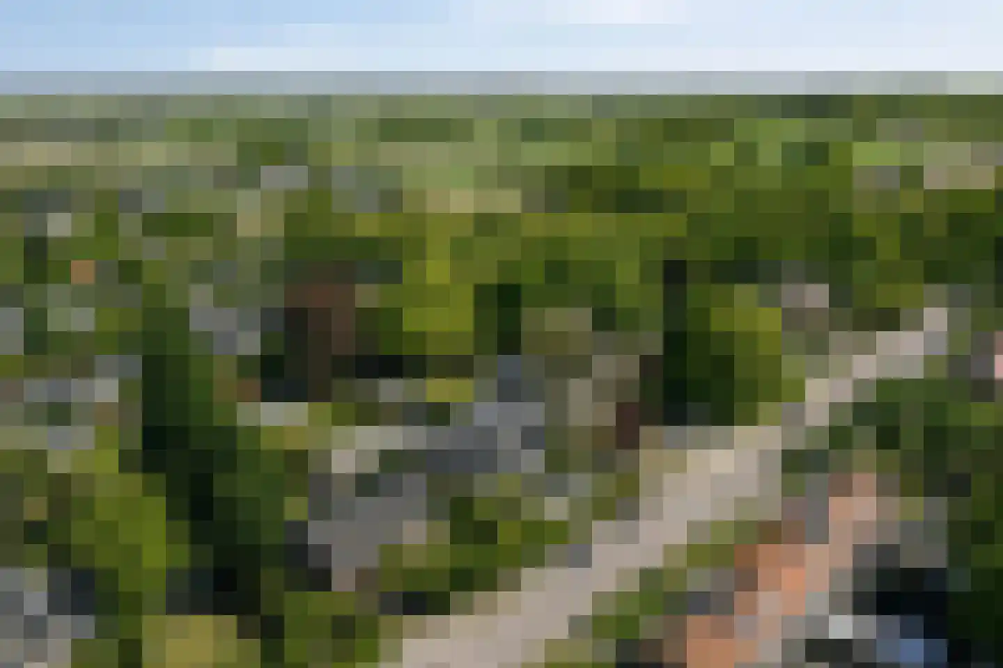 Ribeslaan 12 Rhenen thumbnail 77