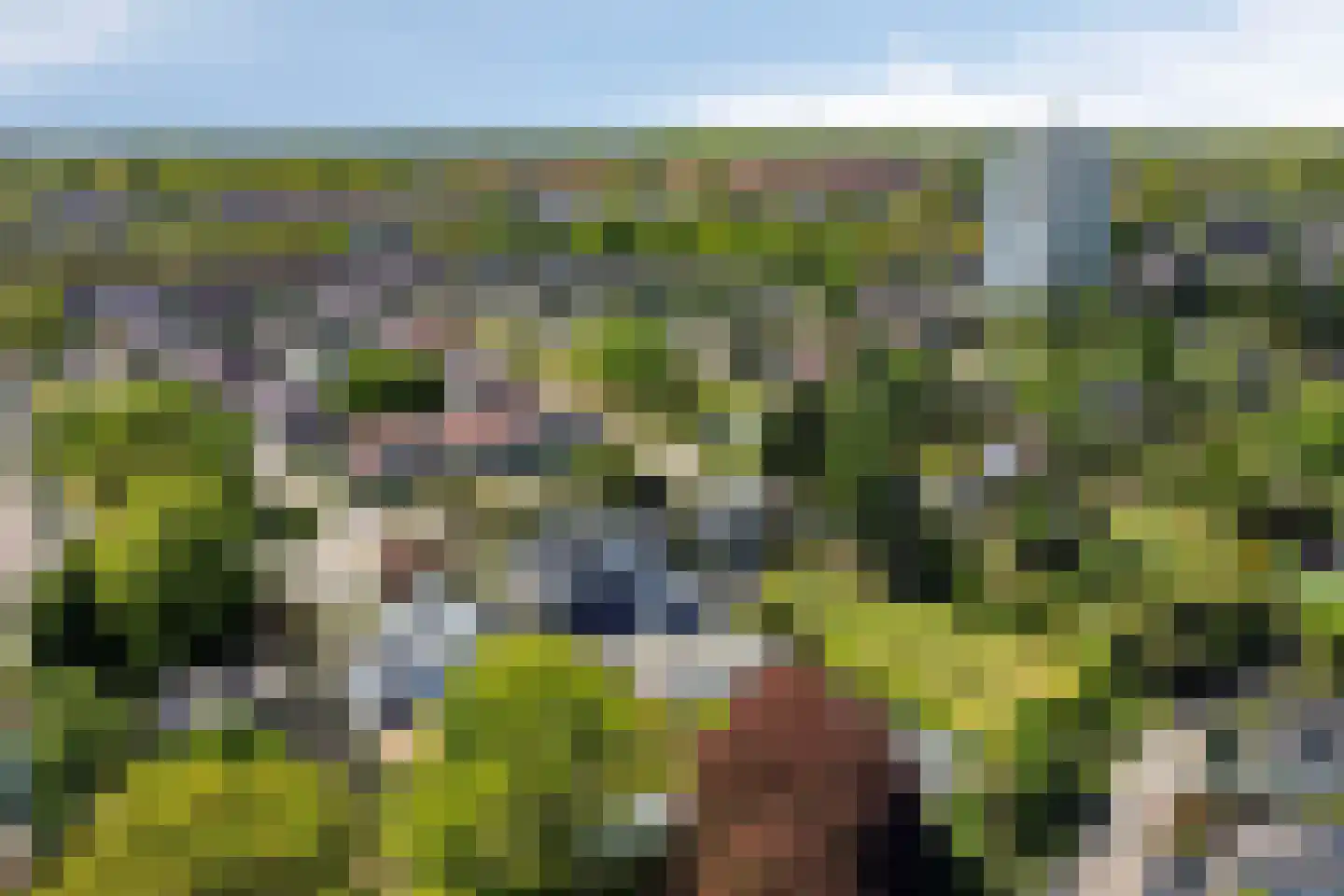 Ribeslaan 12 Rhenen thumbnail 80