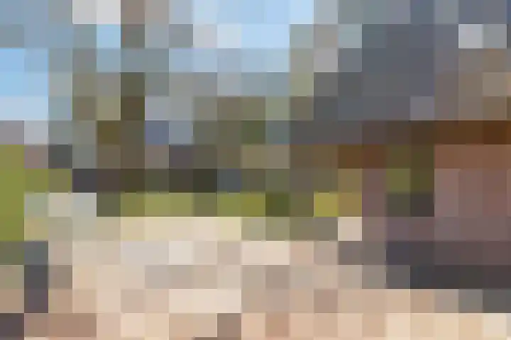 Ribeslaan 18 Apeldoorn thumbnail 10