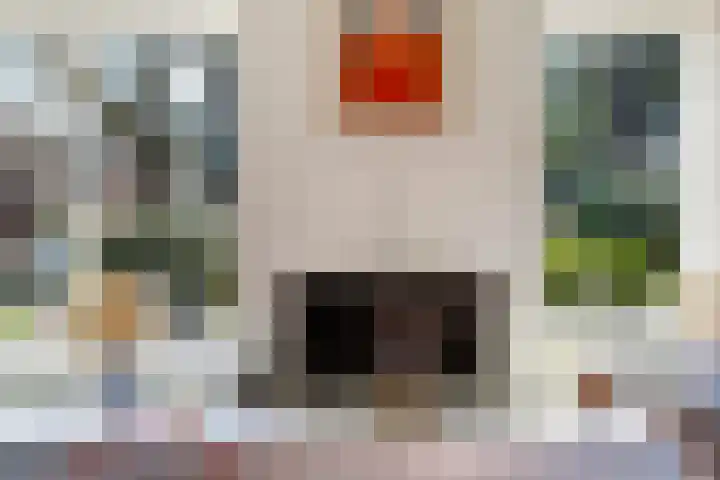Ribeslaan 18 Apeldoorn thumbnail 19
