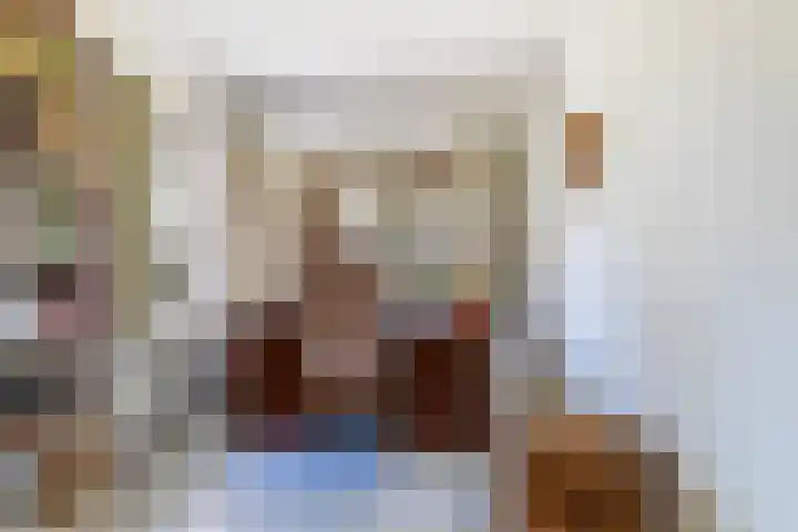Ribeslaan 18 Apeldoorn thumbnail 22