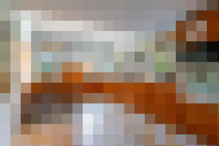 Ribeslaan 18 Apeldoorn thumbnail 25