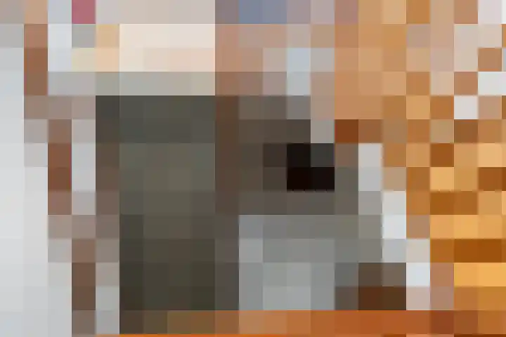 Ribeslaan 18 Apeldoorn thumbnail 27