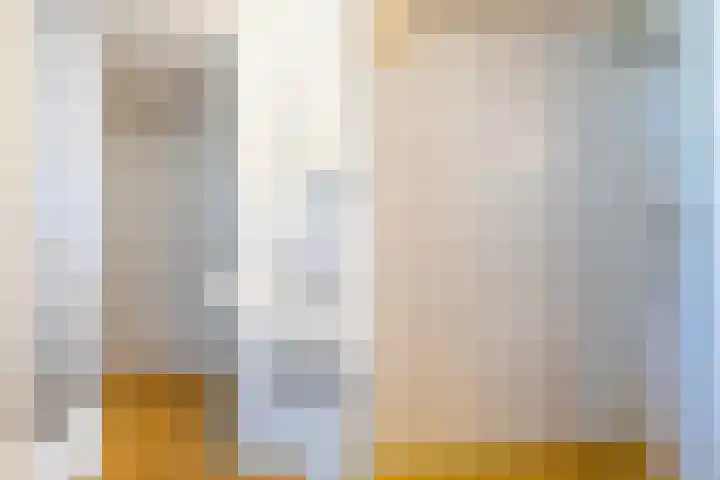 Ribeslaan 18 Apeldoorn thumbnail 42