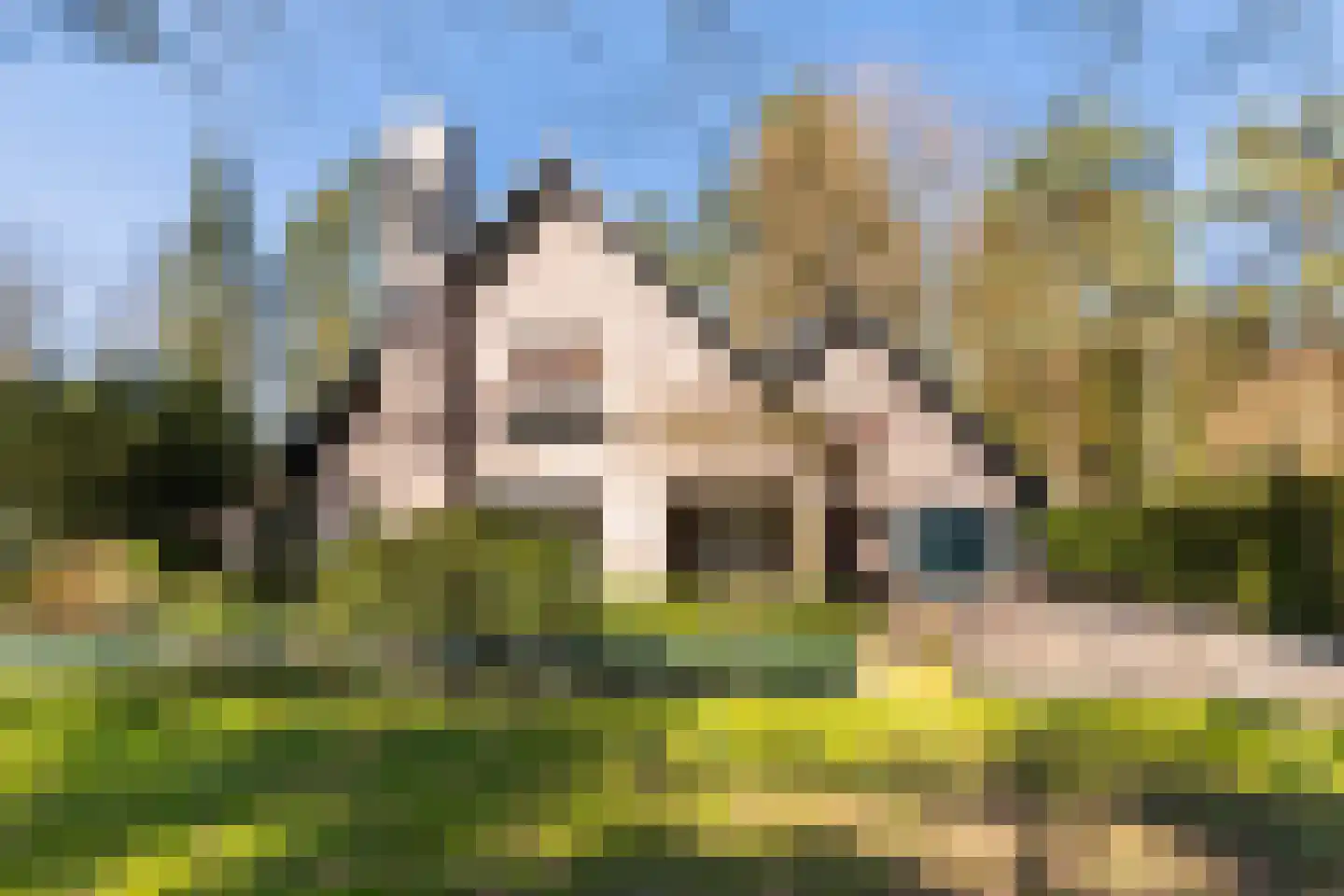 Ribeslaan 18 Apeldoorn thumbnail 52