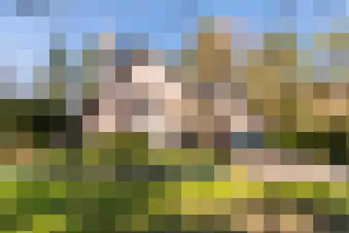 Ribeslaan 18 Apeldoorn thumbnail 53