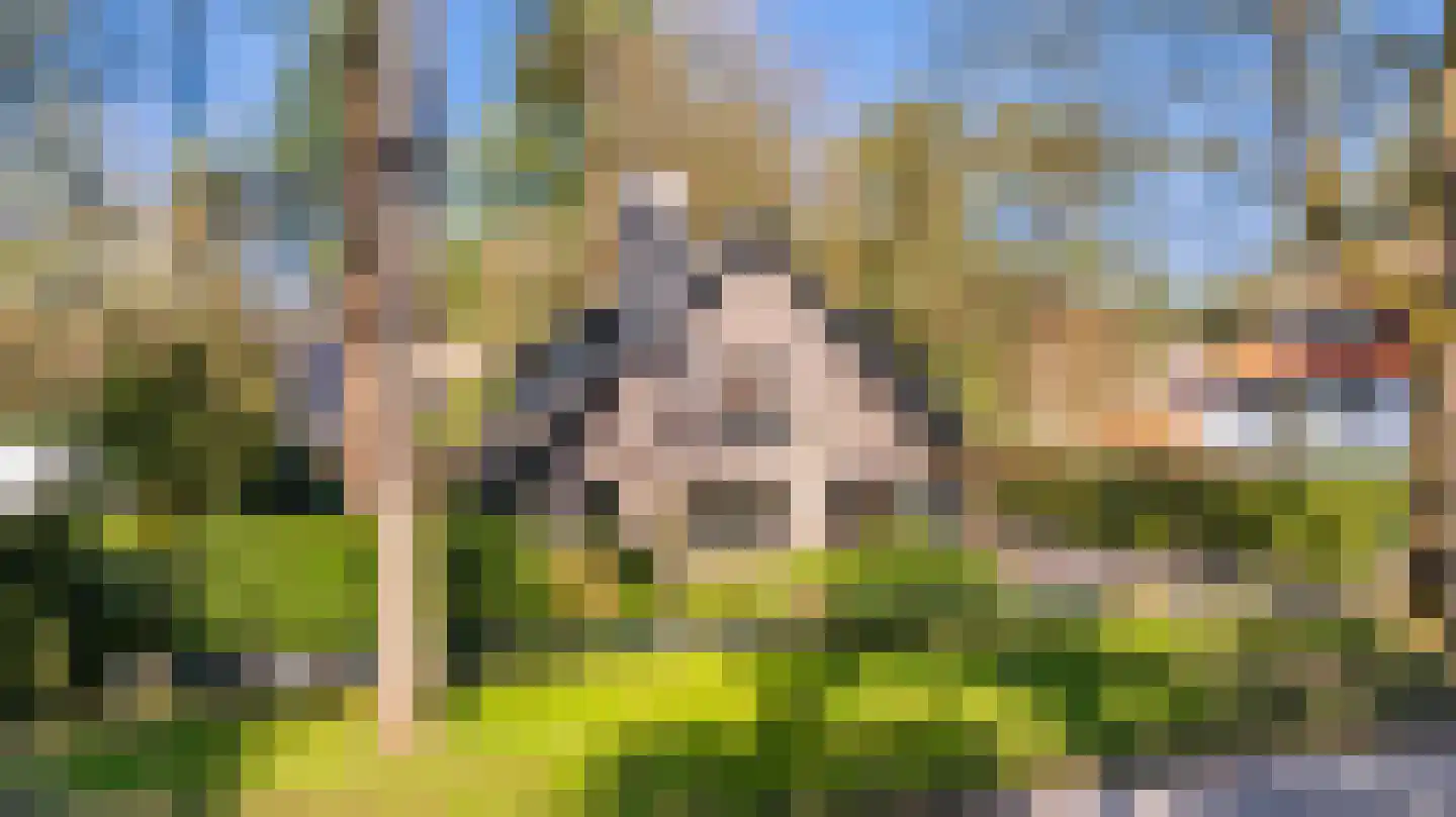Ribeslaan 18 Apeldoorn thumbnail 53