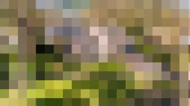 Ribeslaan 18 Apeldoorn thumbnail 55