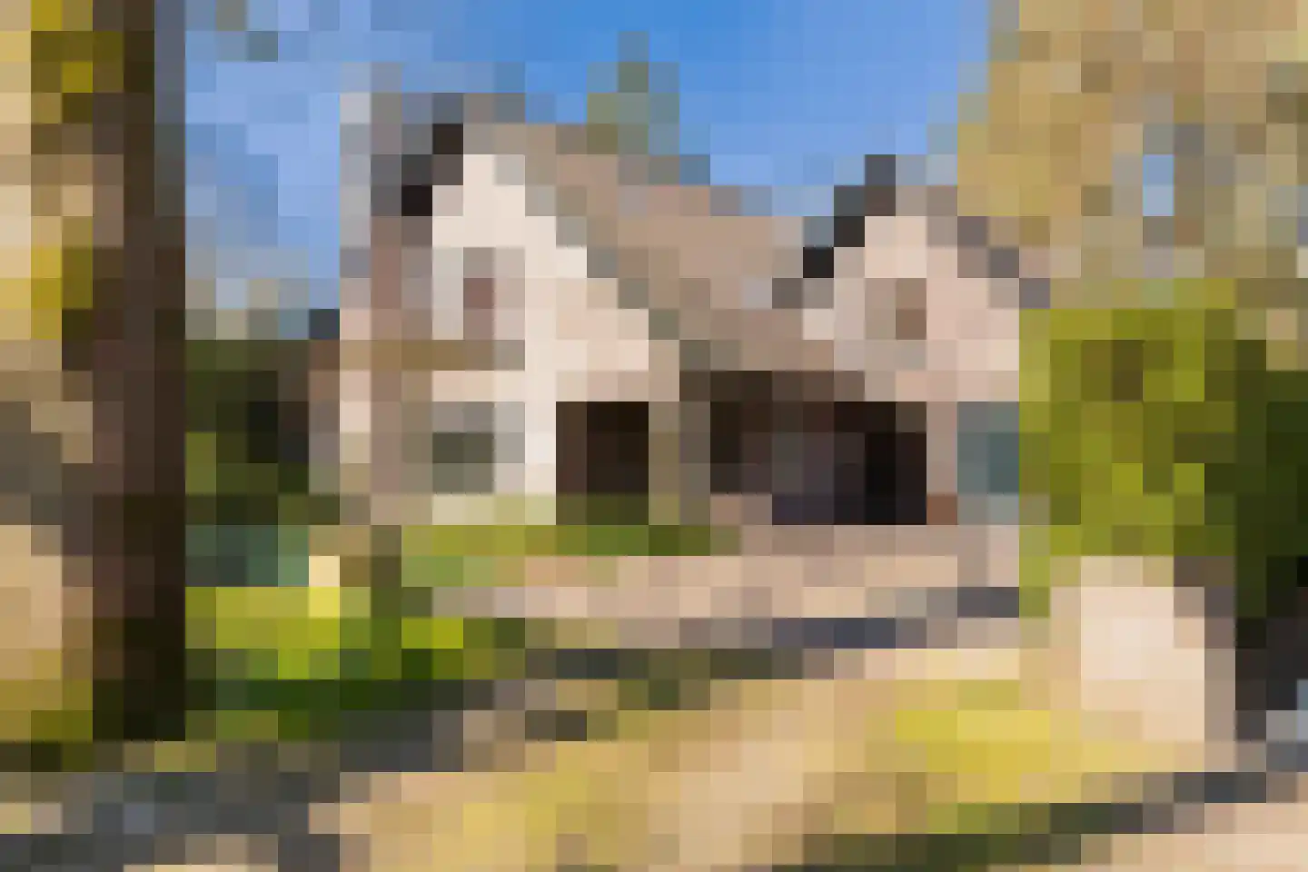 Ribeslaan 18 Apeldoorn thumbnail 55