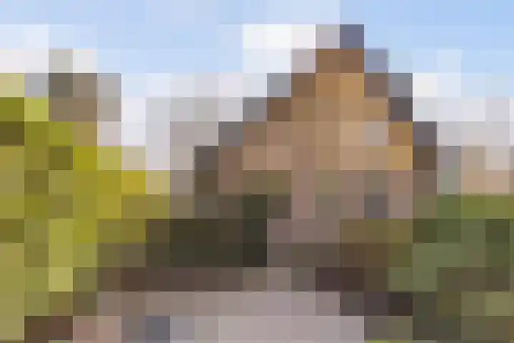 Ribeslaan 18 Apeldoorn thumbnail 6