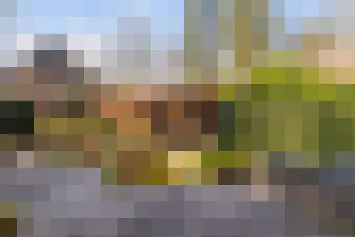 Ribeslaan 18 Apeldoorn thumbnail 7