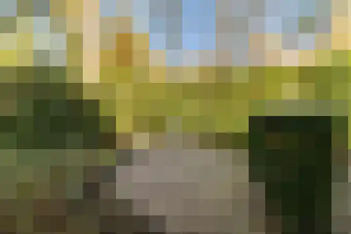 Ribeslaan 18 Apeldoorn thumbnail 8