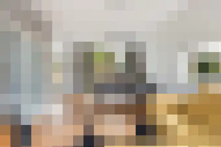 Ribeslaan 2 Gouda thumbnail 15