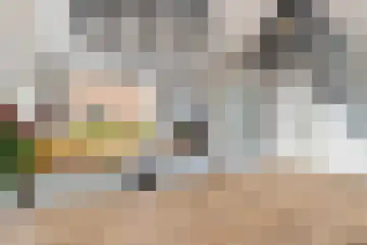 Ribeslaan 2 Gouda thumbnail 18