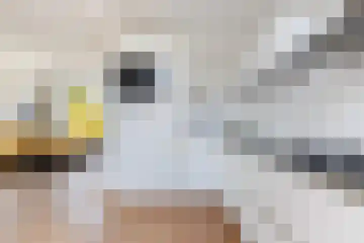 Ribeslaan 2 Gouda thumbnail 23