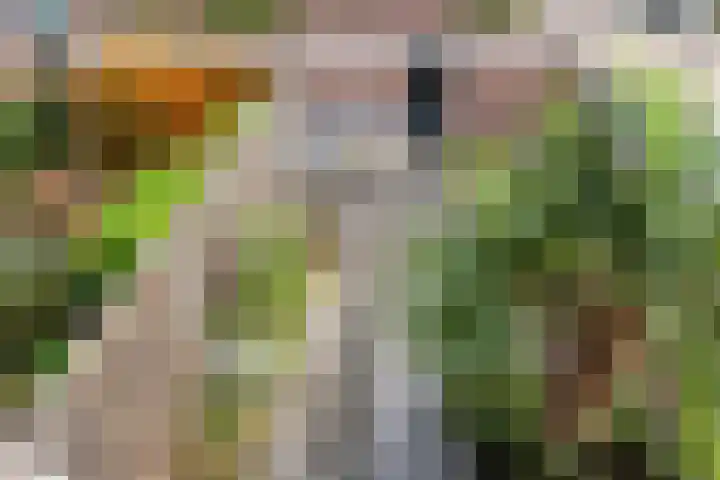 Ribeslaan 2 Gouda thumbnail 34
