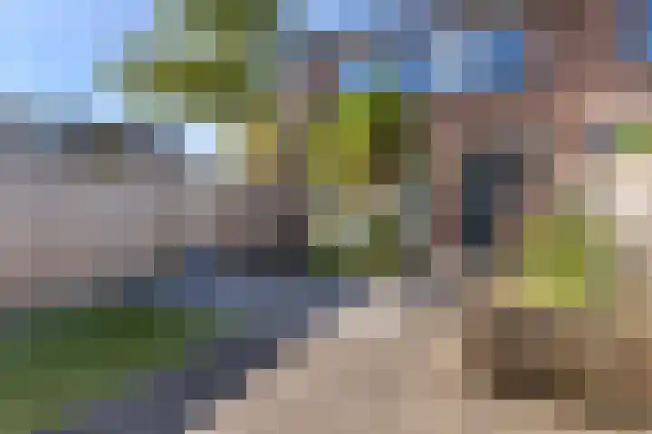 Ribeslaan 2 Gouda thumbnail 48