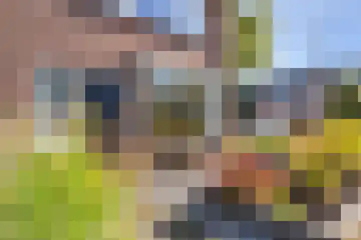Ribeslaan 2 Gouda thumbnail 9