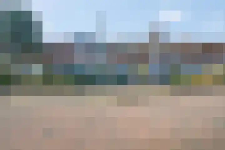 Ribeslaan 29 Rhenen thumbnail 27