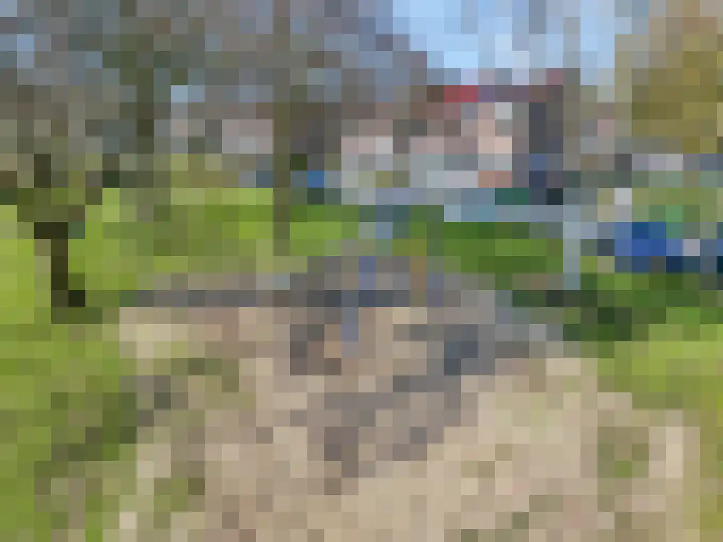 Ribeslaan 29 Rhenen thumbnail 31