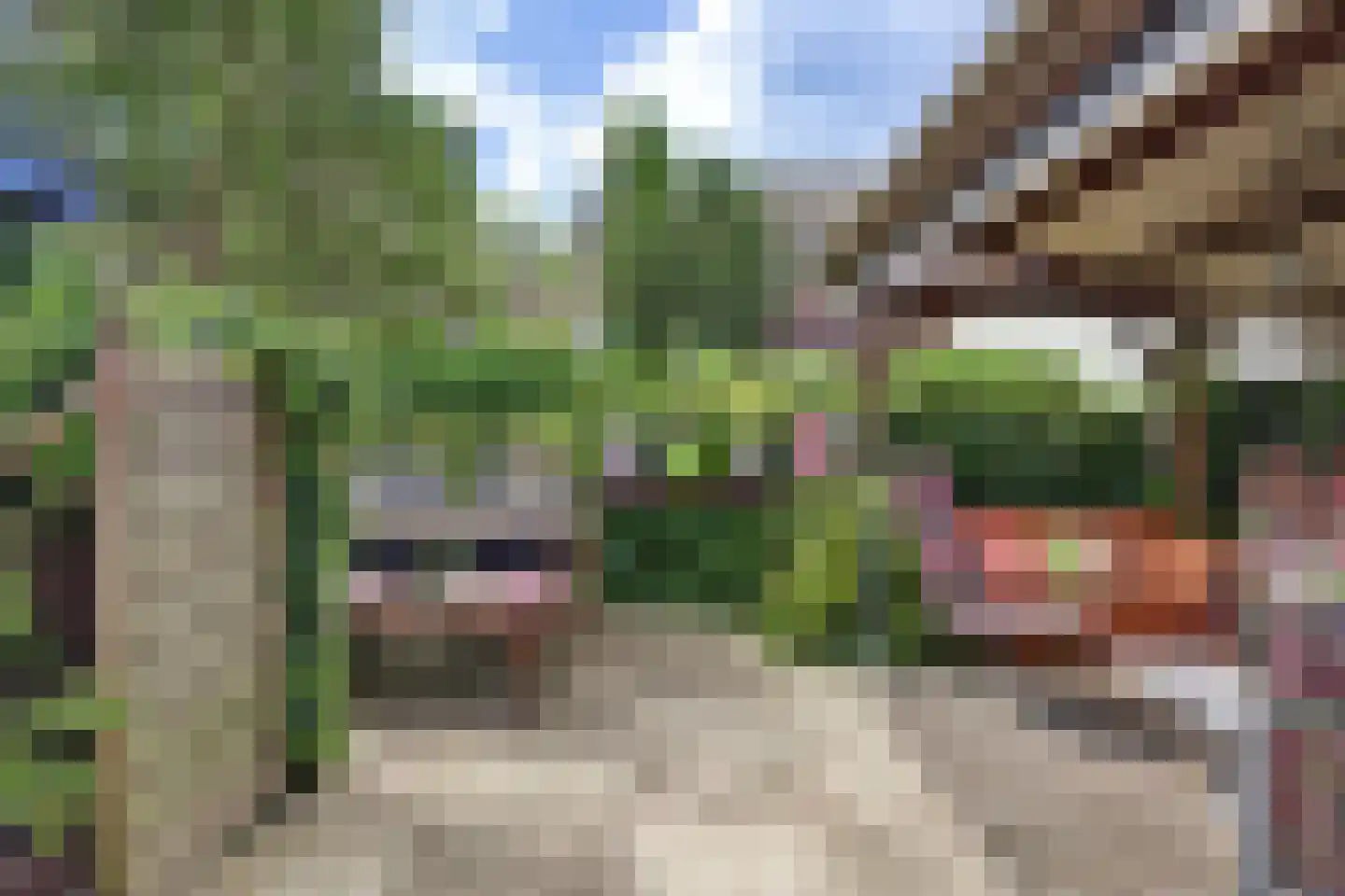 Ribeslaan 30 Schiedam thumbnail 11