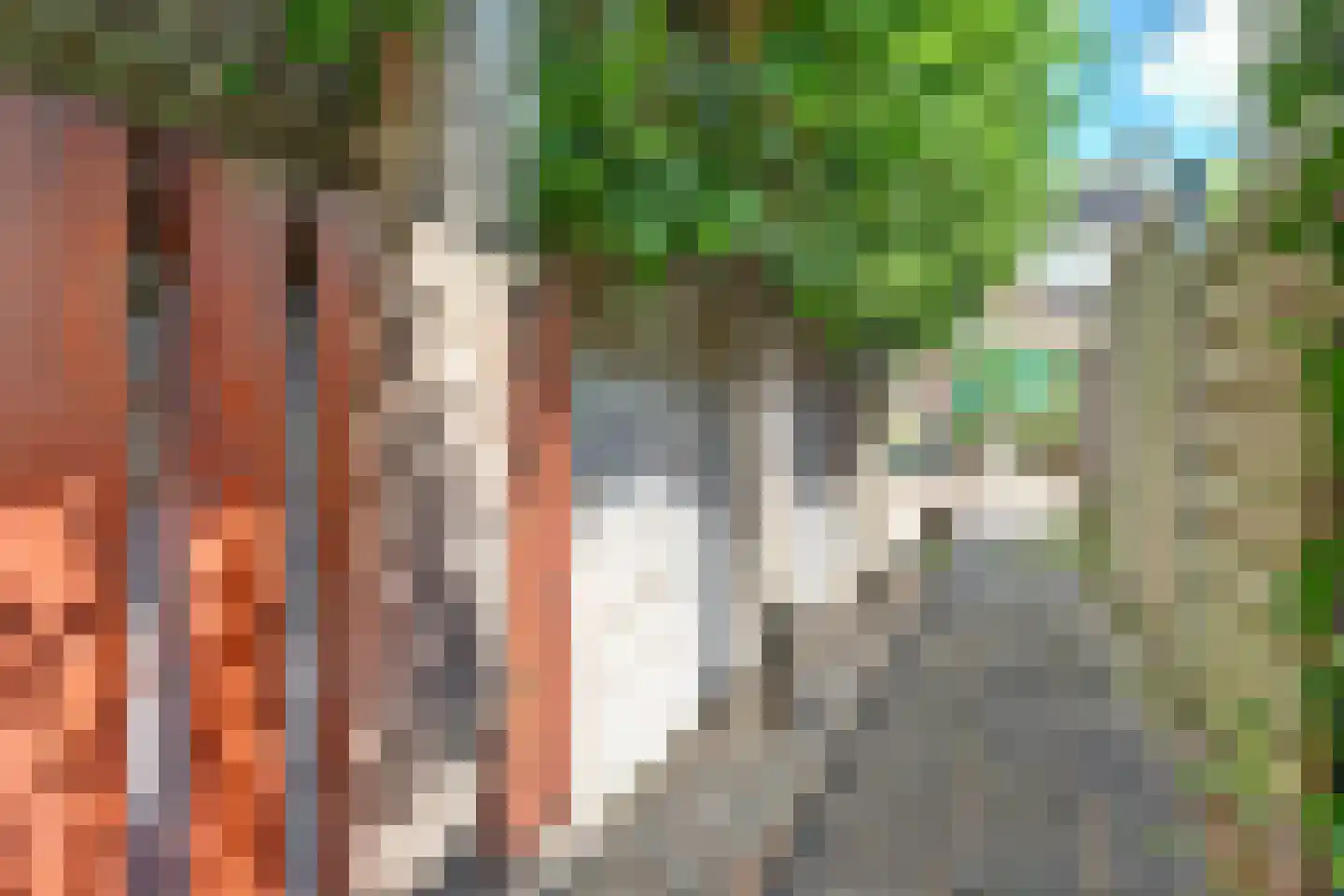 Ribeslaan 30 Schiedam thumbnail 16