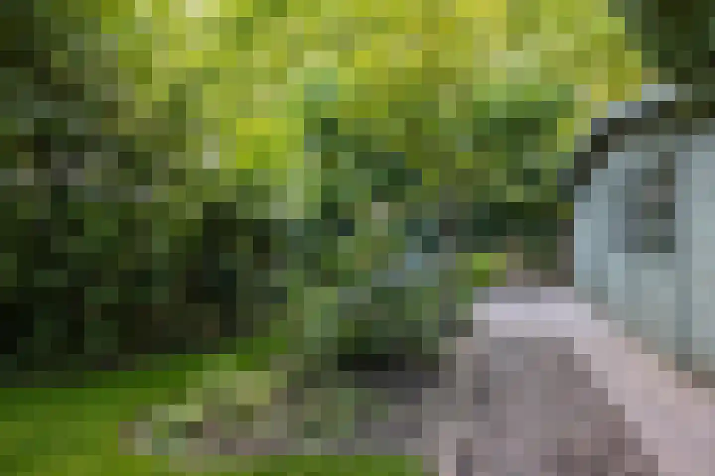 Ribeslaan 5 Heerhugowaard thumbnail 27