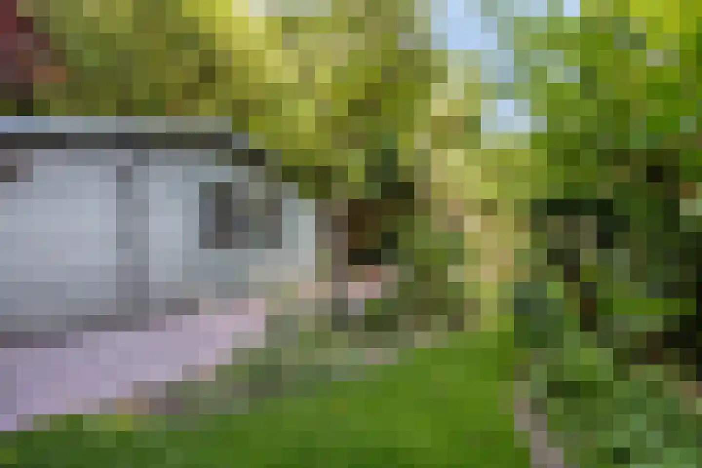 Ribeslaan 5 Heerhugowaard thumbnail 28