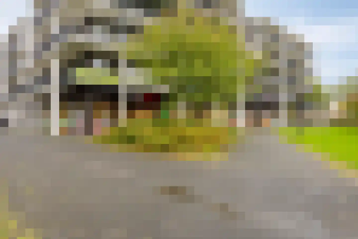 Ribeslaan 5 Heerhugowaard thumbnail 30