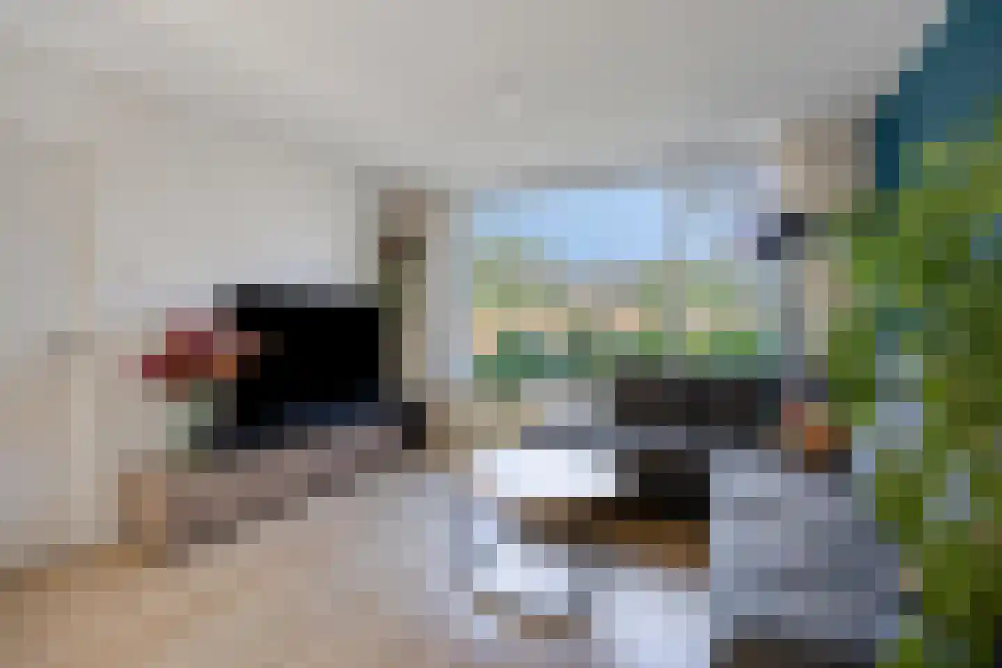 Ribeslaan 5 Heerhugowaard thumbnail 8
