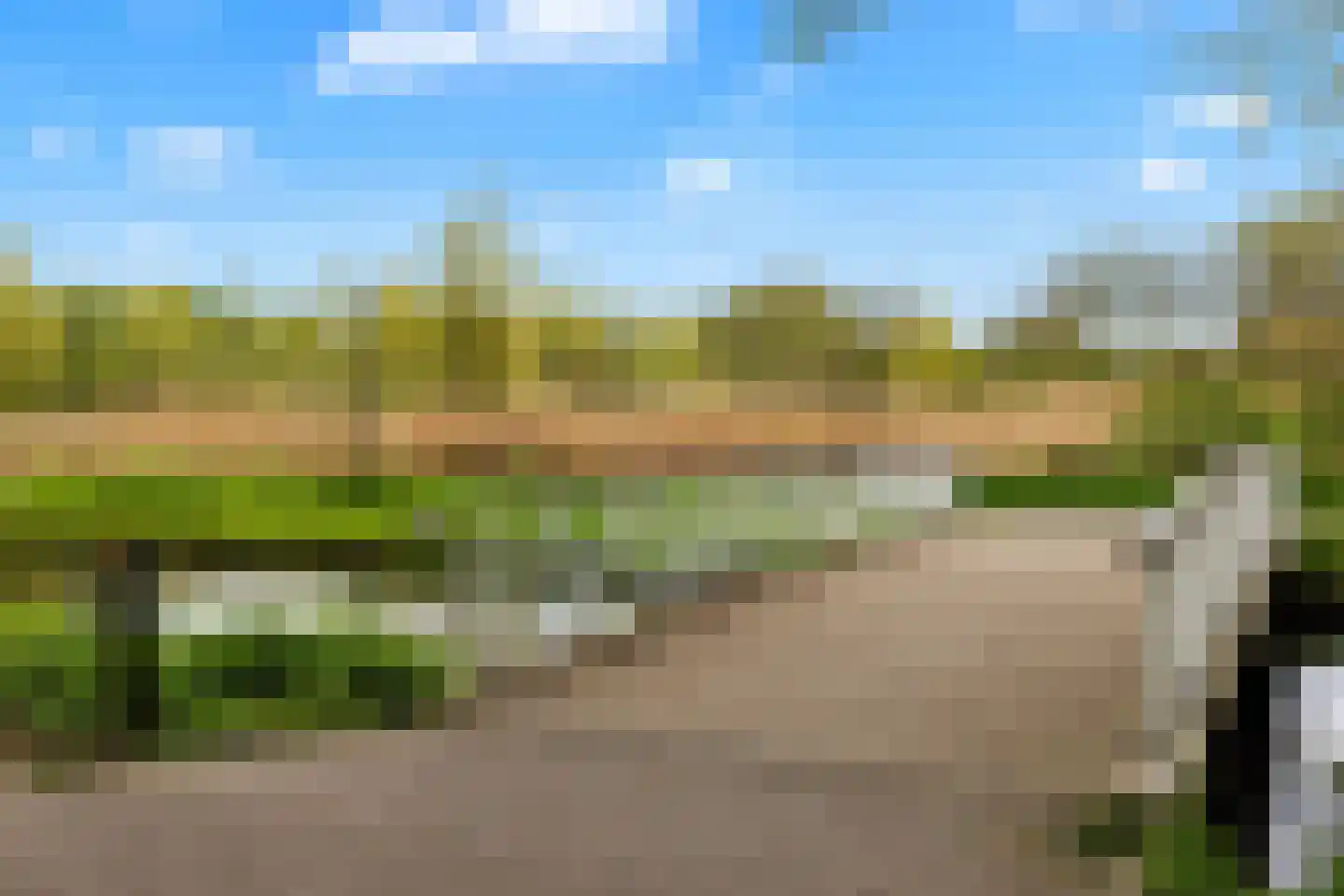 Ribeslaan 6 Schiedam thumbnail 36