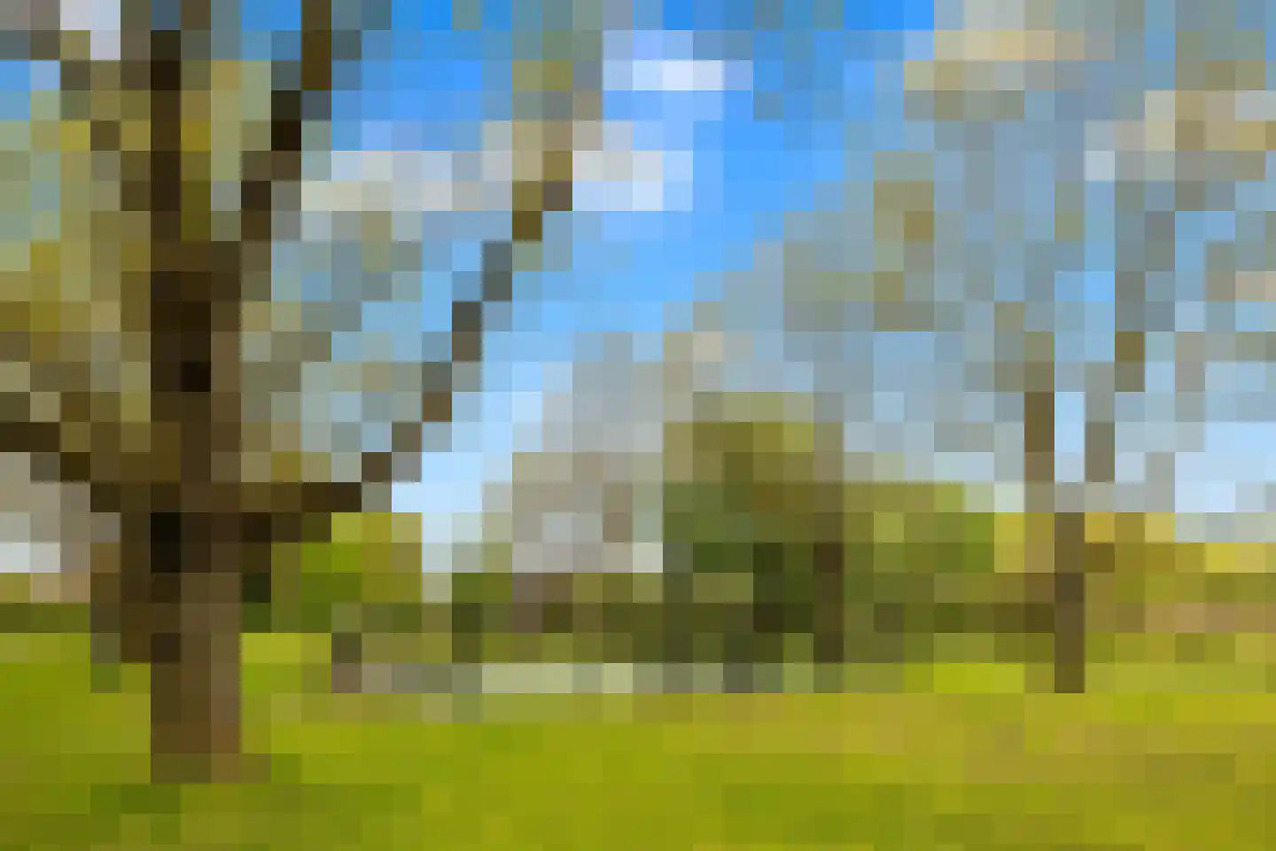 Ribeslaan 6 Schiedam thumbnail 37