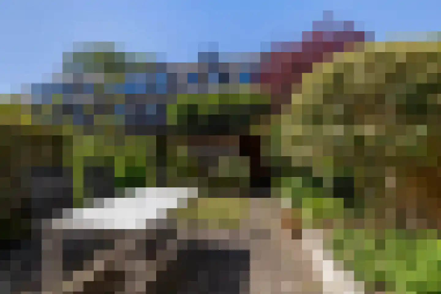 Ribeslaan 62 Rotterdam thumbnail 34