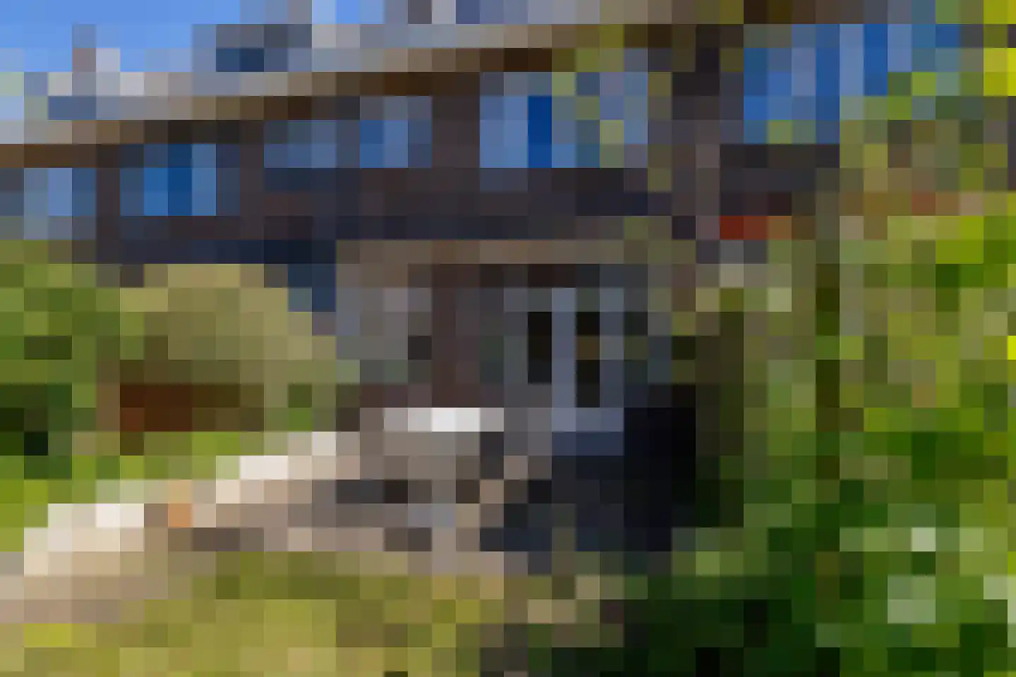 Ribeslaan 62 Rotterdam thumbnail 35