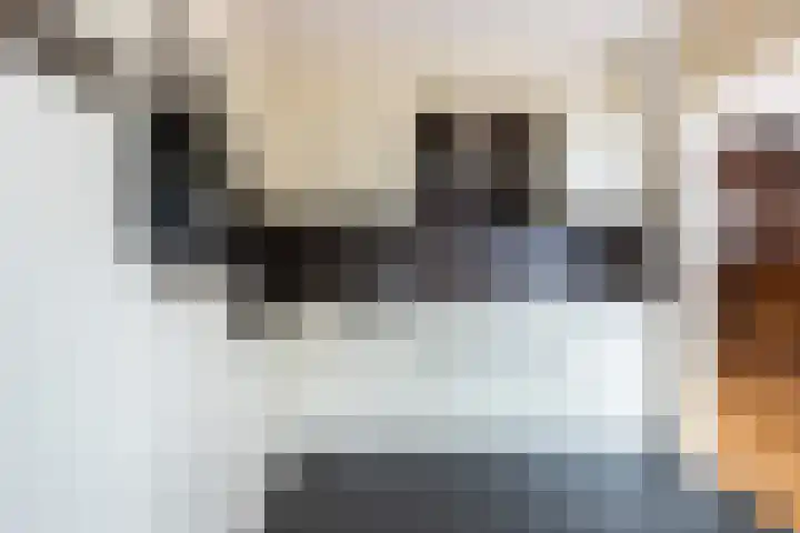 Ribeslaan 7 Woerden thumbnail 12