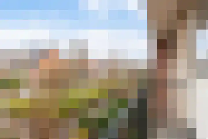 Ribeslaan 7 Woerden thumbnail 18