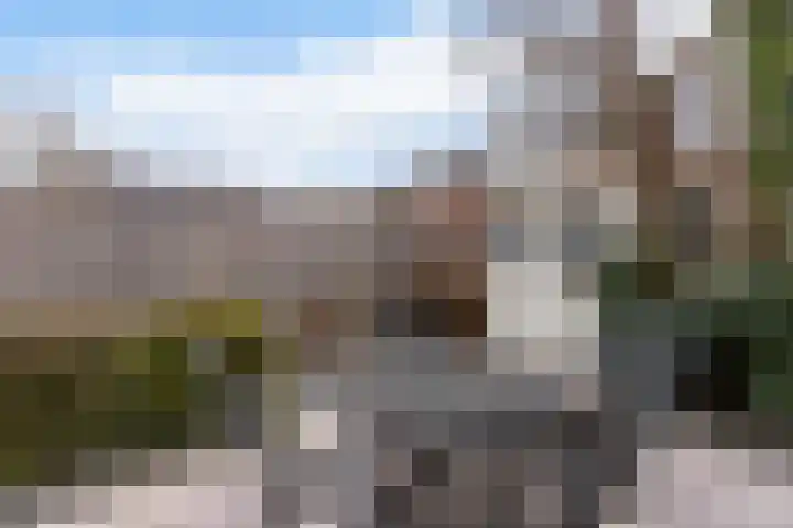 Ribeslaan 7 Woerden thumbnail 33